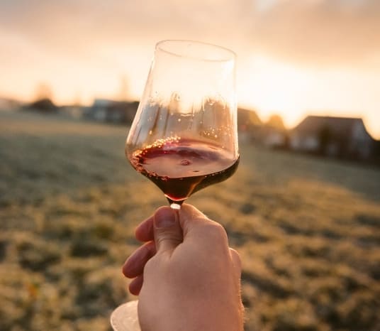 Rotwein im Glas bei Sonnenuntergang